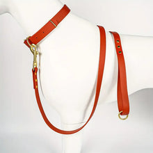 Load image into Gallery viewer, Dog Leash for Small Medium Large Dogs Walking,Easy to Use, Lightweight & Durable,Training Leash for Control Safety Training