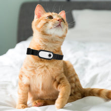Load image into Gallery viewer, Wireless Cat Collar Camera Outdoor No WiFi Needed Pet Collar Camera With Screen Video Recording Dog Tracker Collar Pet Supplies