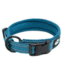 Load image into Gallery viewer, Truelove Pet Dog Collar Nylon Adjustable Webbing Padded Soft Reflective Durable Heavy Duty Training Custom Luxury Cat TLC5011