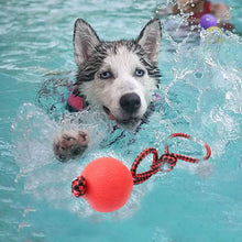 Load image into Gallery viewer, Dog Toys for Large Dogs Toy Rubber Molar Teeth Bite Train Solid Bite-resistant Elastic Non-toxic Odorless Pet Ball Toy