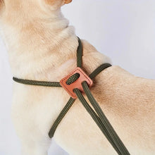 Load image into Gallery viewer, Dog Integrated Leash, Adjustable Harness Type, Pet Leash