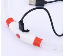 Load image into Gallery viewer, Luminous Dog Collar Light Charge Cat Necklace, Led Fashion Flashing DIY Glowing Safety Collar for Dogs Nighttime Pet Accessorie