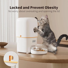 Load image into Gallery viewer, 2L 5G Camera Pet Feeder Automatic Cat Smart Food Dispenser Auto Dog Slow Food WIFI Timed Quantitative Video Food Feeding Bowls