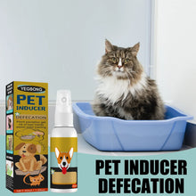 Load image into Gallery viewer, Dog Potty Training Spray Cats Kitten Outdoor Urine Poops Stool Location Helps Puppies Toilet Pet Positioning Defecation Inducer