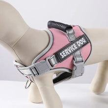 Load image into Gallery viewer, Puppy Accessories Adjustable Dog Harness Reflective Leash Set Adjustable Harness No Pull Harness Outdoor Walking