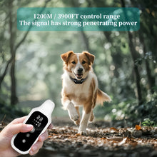 Load image into Gallery viewer, 800m Digital Dog Training Collar Waterproof Rechargeable Remote Control Pet with LCD Display for All Size Shock Vibration Sound