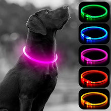 Load image into Gallery viewer, Luminous Dog Collar Light Charge Cat Necklace, Led Fashion Flashing DIY Glowing Safety Collar for Dogs Nighttime Pet Accessorie