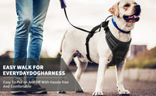 Load image into Gallery viewer, MASBRILL Dog Harness No Pull Nylon Adjustable Reflective Dog Vest Harness 2 Metal Leash Hooks Easy Control Handle Walking