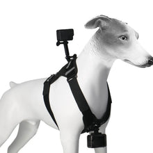 Load image into Gallery viewer, Dog Harness Camera Mount Vest Adjustable Comfortable Pet Harness Action Camera Mount for Large Medium and Small Dogs