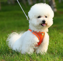 Load image into Gallery viewer, Dog Harness Small Breed Harness for A Small Dog Large Dog Harness Harnait Chest GXQ03