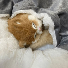 Load image into Gallery viewer, Orthopedic Bed For Dogs Puppy Cat Winter House Warm Mat Cushion Kennel For Indoor Dog Bed Pet Sofa Products Houses And Habitats