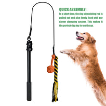 Load image into Gallery viewer, Extendable Flirt Pole Interactive Dog Toys for Small Large Dogs Chase Drag Chew Toys Outdoor Training Exercise Entertainment