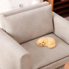 Load image into Gallery viewer, 1 Set Dollhouse Accessories 1:12 Miniature Kennel Pet House Cat And Dog Ornament Furniture Model Decor Toy