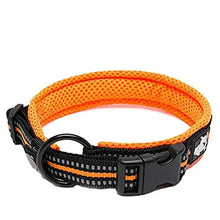 Load image into Gallery viewer, Truelove Pet Dog Collar Nylon Adjustable Webbing Padded Soft Reflective Durable Heavy Duty Training Custom Luxury Cat TLC5011