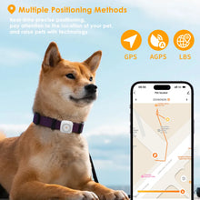 Load image into Gallery viewer, Mini 4G GPS Tracker for Dogs Cats with Health Monitor GPS Dog Fence Waterproof Works with Any Collar Android iOS Universal