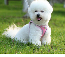Load image into Gallery viewer, Dog Harness Small Breed Harness for A Small Dog Large Dog Harness Harnait Chest GXQ03