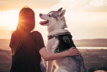 Load image into Gallery viewer, MASBRILL Dog Harness No Pull Nylon Adjustable Reflective Dog Vest Harness 2 Metal Leash Hooks Easy Control Handle Walking