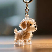 Load image into Gallery viewer, Dogs Hair Storage Pendant Cute Keychain Bag Pendant Couple Car Key Chains Jewelry Souvenir Collection Gift Decor Dog Accessories