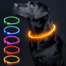 Load image into Gallery viewer, Luminous Dog Collar Light Charge Cat Necklace, Led Fashion Flashing DIY Glowing Safety Collar for Dogs Nighttime Pet Accessorie