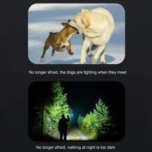 Load image into Gallery viewer, Upgrade Dog Repeller Anti-Bark Device for Dog Training & Behavior Aid LED Flashlight Handheld for Indoor Outdoor Repel Animals