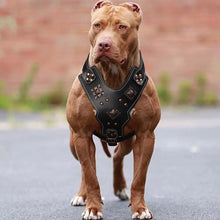 Load image into Gallery viewer, Genuine Leather Dog Harness Durable Large Dogs Harnesses Riveted Pet Training Vest With Metal Accessories For Medium Large Dogs