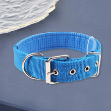Load image into Gallery viewer, Dog Collars,Nylon,Adjustable Dog Neck Circle,Long-lasting Pet Neck Strap,with Traction Ring,Teddy Keji Pitbull,Pet Supplies
