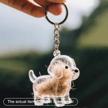 Load image into Gallery viewer, Dogs Hair Storage Pendant Cute Keychain Bag Pendant Couple Car Key Chains Jewelry Souvenir Collection Gift Decor Dog Accessories