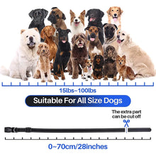 Load image into Gallery viewer, 800m Digital Dog Training Collar Waterproof Rechargeable Remote Control Pet with LCD Display for All Size Shock Vibration Sound