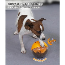 Load image into Gallery viewer, Dog Slow Feeder Treat Interactive Toys for Boredom and Stimulating, Food Enrichment Toy for Dogs Mental Stimulation Make Busy