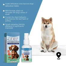 Load image into Gallery viewer, Dog Toilet Training Spray Dog Potty Training Spray Cats Kitten Outdoor Urine Poops Stool Location Helps Puppies Toilet Inducer