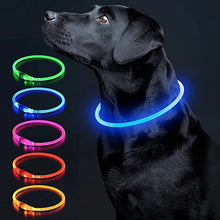 Load image into Gallery viewer, Luminous Dog Collar Light Charge Cat Necklace, Led Fashion Flashing DIY Glowing Safety Collar for Dogs Nighttime Pet Accessorie