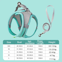 Load image into Gallery viewer, Dog Harness Small Breed Harness for A Small Dog Large Dog Harness Harnait Chest GXQ03