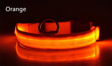 Load image into Gallery viewer, Dog Collar LED Light Electronic Night Safety Anti-Lost Nylon Adjustable Luminous Glowing Collar For Dogs Cats Pet Products Xs-XL