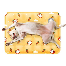 Load image into Gallery viewer, Dog Cooling Mat Summer Pet Self Cooling Pad Cat Bed Mat For Small Medium Large Dogs Indoor Dog Crate Mat