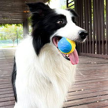 Load image into Gallery viewer, Dogs Interactive Toys Soft TPR Toys for Dog Pet Teeth Cleaning Bite Resistance Squeaky Dog Ball Toy