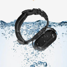 Load image into Gallery viewer, Factory Professional Waterproof Wearable Mini 1080P HD Cat Dog Pet Collar Action Sport Camera on Dog Cat Collar