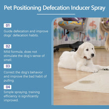Load image into Gallery viewer, Dog Toilet Training Spray Dog Potty Training Spray Cats Kitten Outdoor Urine Poops Stool Location Helps Puppies Toilet Inducer