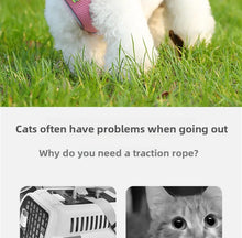 Load image into Gallery viewer, Harness for a Dog Harness Guard Harnesses for Dogs Pet Puppy Big the Small Breed Medium Anatomical Large Breeds Goods Product