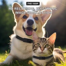 Load image into Gallery viewer, HD 1080P Pet Cameras Outdoors Wireless Collar Camera No WiFi Needed Video Records for Cats Dogs Birthday Gift Mini Camera