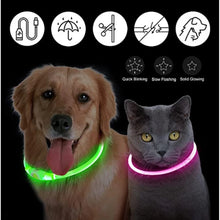 Load image into Gallery viewer, Luminous Dog Collar Light Charge Cat Necklace, Led Fashion Flashing DIY Glowing Safety Collar for Dogs Nighttime Pet Accessorie