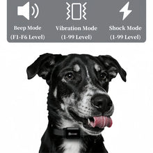 Load image into Gallery viewer, 800m Digital Dog Training Collar Waterproof Rechargeable Remote Control Pet with LCD Display for All Size Shock Vibration Sound