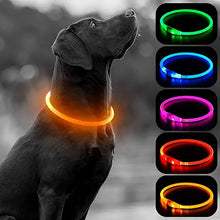 Load image into Gallery viewer, Luminous Dog Collar Light Charge Cat Necklace, Led Fashion Flashing DIY Glowing Safety Collar for Dogs Nighttime Pet Accessorie
