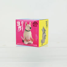 Load image into Gallery viewer, 6PCS/set Yoga Dog Doll Funny Creative Animal Dog Dance Master Blind Box Toy Desktop Ornament Anime Peripheral Gifts