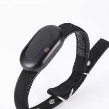 Load image into Gallery viewer, Pet Activity Monitor Measure Pet Step Historical Track Dog Cat Health Monitor Smart 4G GPS Tracker & Locator