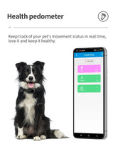 Load image into Gallery viewer, Pet Activity Monitor Measure Pet Step Historical Track Dog Cat Health Monitor Smart 4G GPS Tracker & Locator