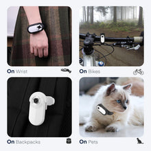 Load image into Gallery viewer, Wireless Cat Collar Camera Outdoor No WiFi Needed Pet Collar Camera With Screen Video Recording Dog Tracker Collar Pet Supplies