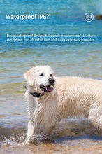 Load image into Gallery viewer, Pet Activity Monitor Measure Pet Step Historical Track Dog Cat Health Monitor Smart 4G GPS Tracker & Locator