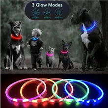 Load image into Gallery viewer, Luminous Dog Collar Light Charge Cat Necklace, Led Fashion Flashing DIY Glowing Safety Collar for Dogs Nighttime Pet Accessorie