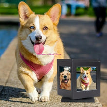 Load image into Gallery viewer, Pet Memory Cremation Box with Rotating Photo Frame Practical Dog Cremation Box HX6C