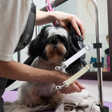 Load image into Gallery viewer, 2 Pcs Pet Dog Grooming Basic Leashes Arm Accessories, Adjustable Pets Loops Extension Straps for Bathing Grooming Trimming